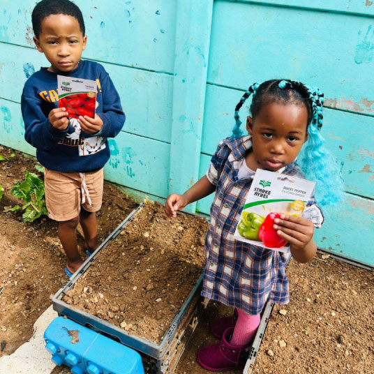 Veggie Activity at ELC